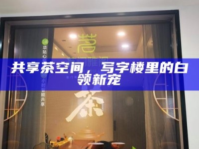 西安品茶之旅，海选工作室推荐与高性价比茶室真实打卡攻略