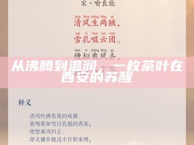 从沸腾到温润，一枚茶叶在西安的苏醒