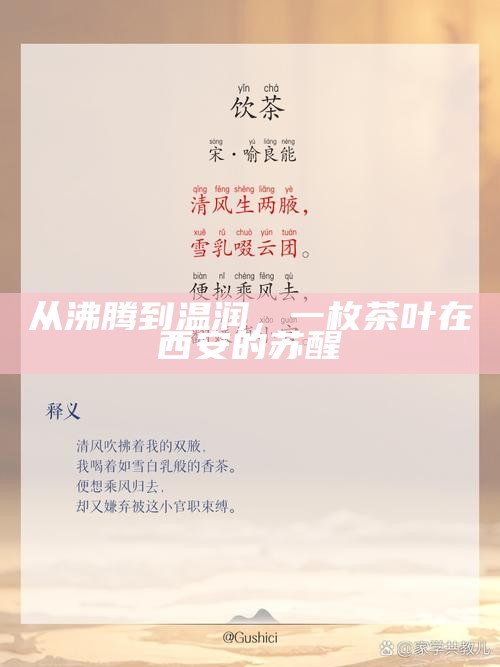 从沸腾到温润,一枚茶叶在西安的苏醒