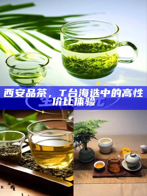 西安品茶，T台海选中的高性价比体验
